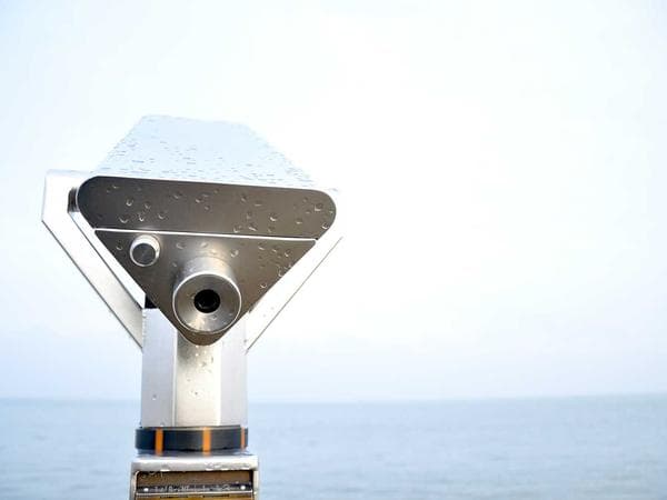 Bağ və bostan — nümunə elan