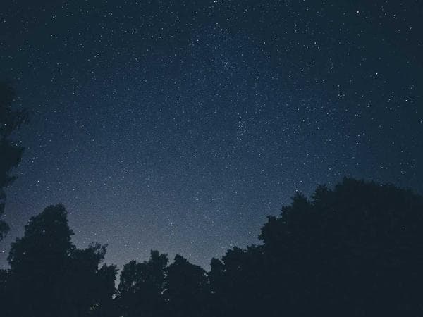 Frontend Developer (React)