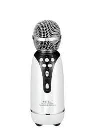 Wster WS-899 Gümüşü Mikrofon